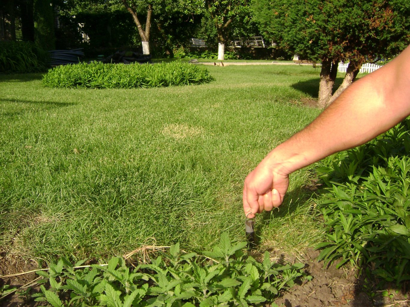 Automatische Bewässerungsanlage