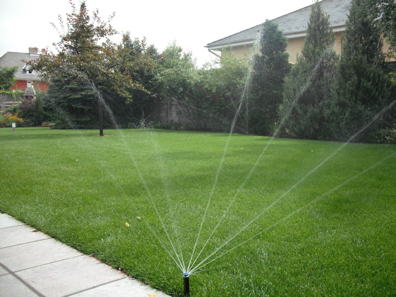 Automatische Bewässerungsanlage